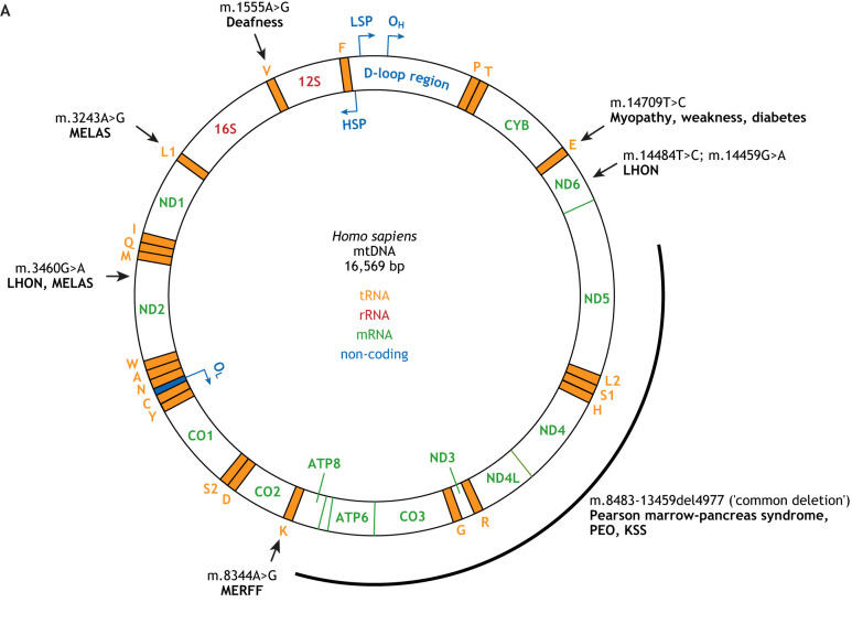 1712890484188361.png ͼƬ 1.png