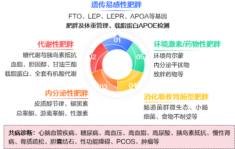 ΢��ͼƬ_2026-01-30_121449_867.png